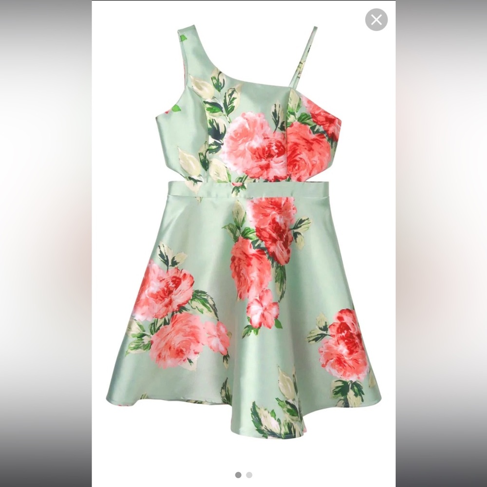Girls Zunie size 8 mint green and pink flower dress